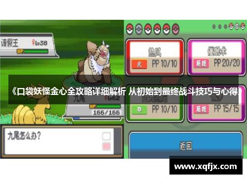 《口袋妖怪金心全攻略详细解析 从初始到最终战斗技巧与心得》